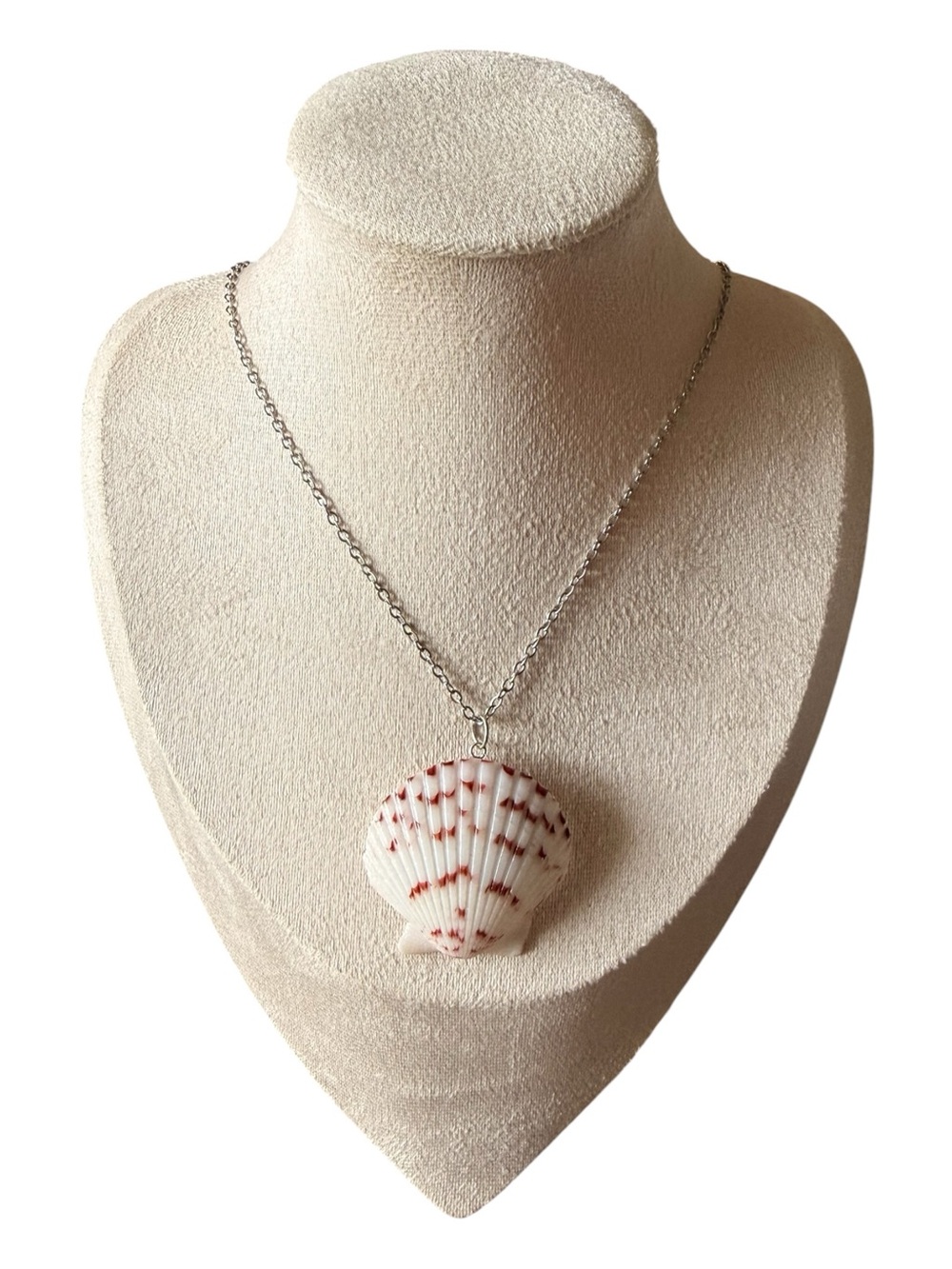 Scallop Seashell Necklace - Picture 2 of 2